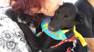 Hera, una cachorrita rescatada de una manada en el Guadalhorce espera un hogar donde crecer feliz.