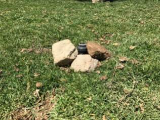 Piedras situadas por los usuarios que tapan el tubo de riego y que supone un peligro para los perros cuando corren.